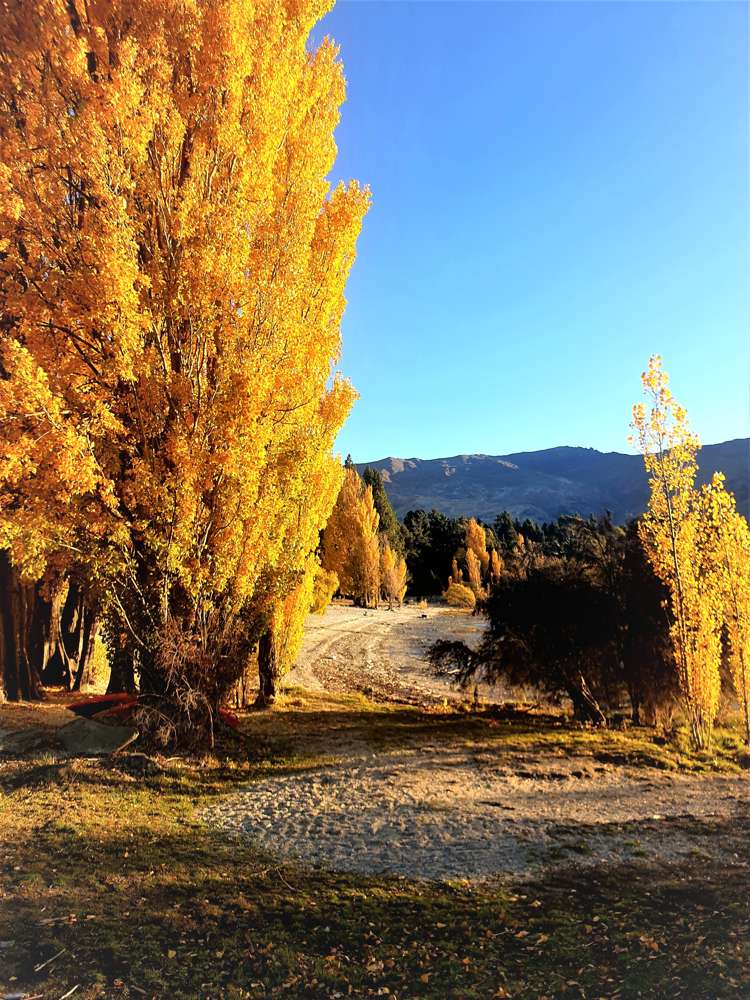 106a Kings Drive Wanaka_22