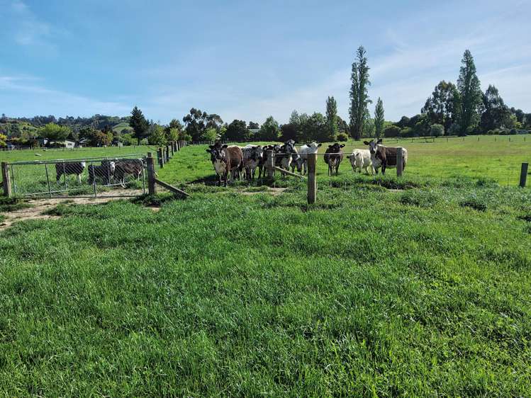 19 Whiting Drive Wakefield_22