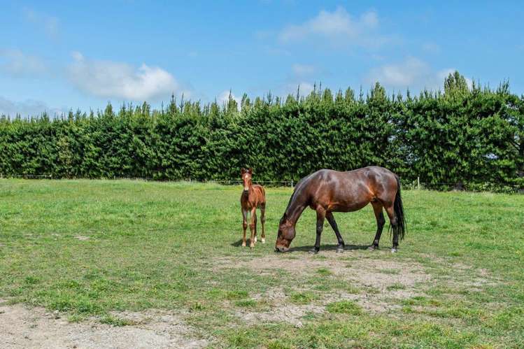 533 Lower Sefton Road Sefton_25