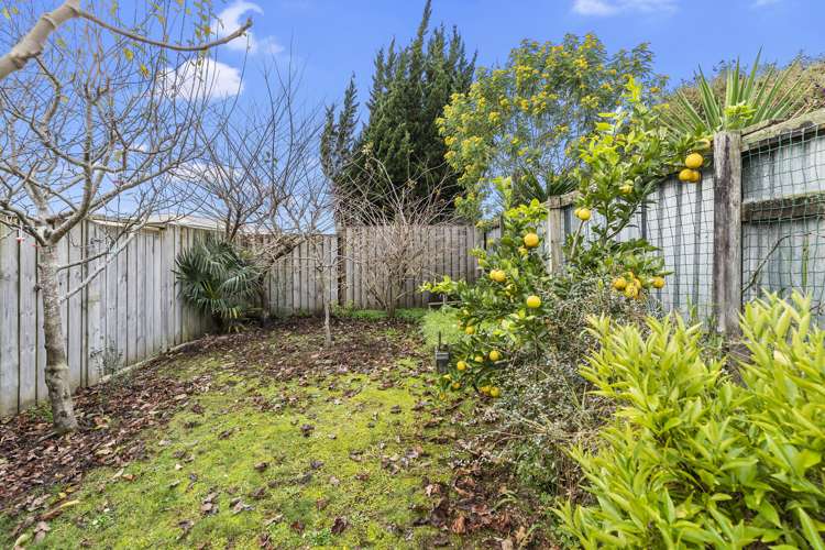 38 Shaw Avenue Paeroa_16