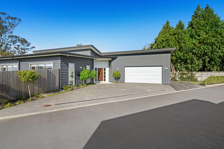 1 Hass Drive Ohauiti_9