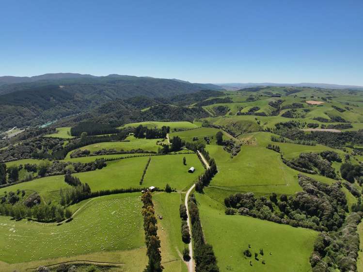 202 Kononi Road Tuapeka West_24