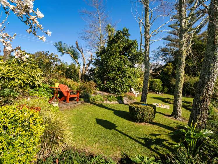 533 Wainui South Road Whakamarama_25