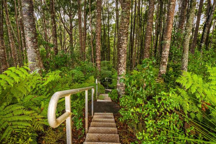 138 Mahurangi West Road Mahurangi West_32