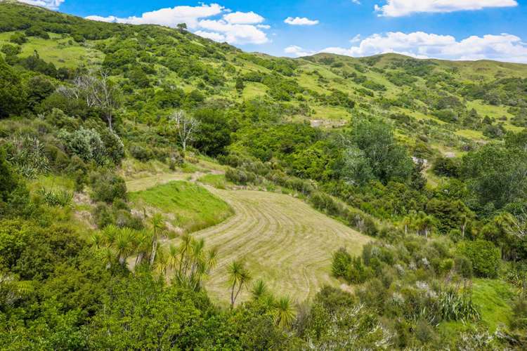 85 Tiro Lane Pakiri_6