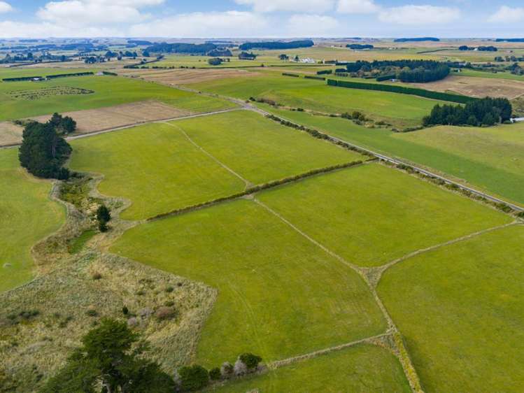 116 Karahaki Road Waverley_12