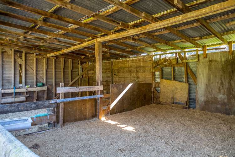 108 Pukewhai Road Pahiatua_20