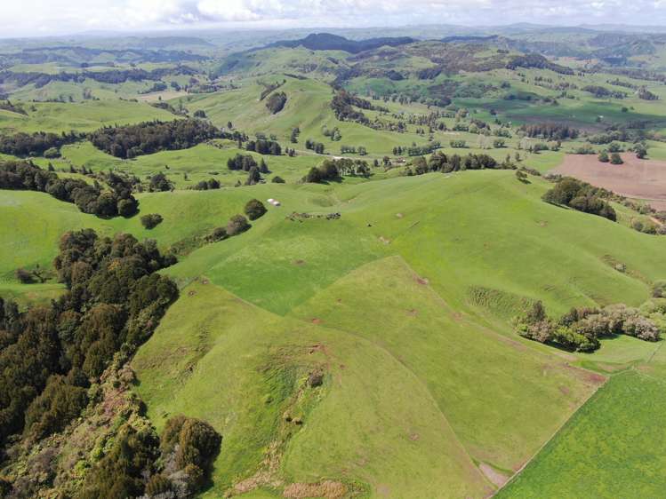 Lot (Rural)/1246 State Highway 3 Piopio_11