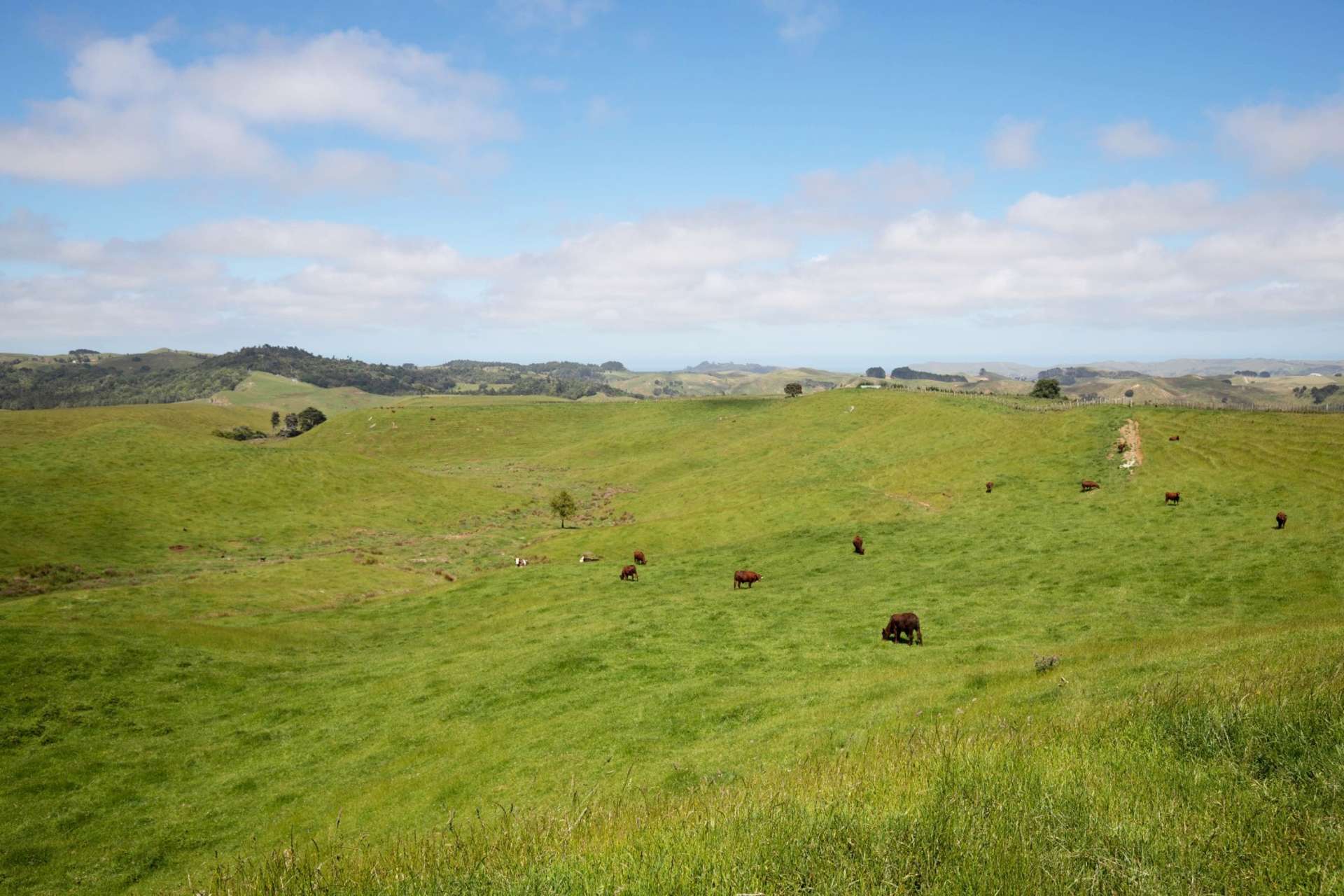 2702 Wairamarama Onewhero Road Glen Murray_0