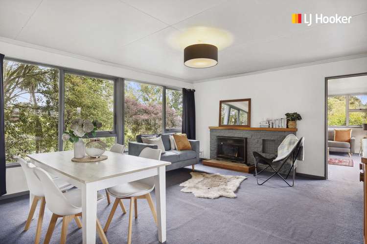 33 Belford Street Waverley_6