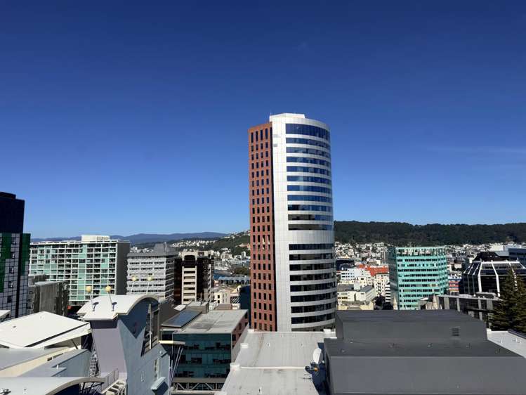  250/217 The Terrace Wellington Central_16