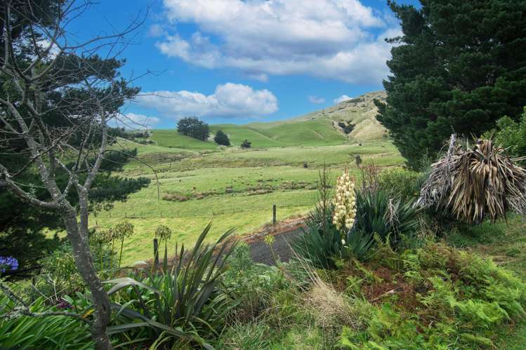 503 Parkville Road Eketahuna_22