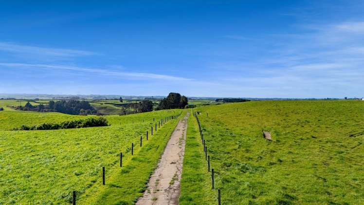 2A Ropata Street Hawera_4