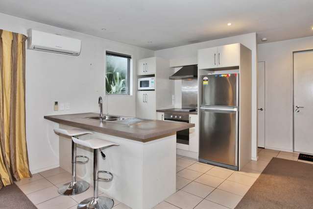 28b Hastings Street West Sydenham_1