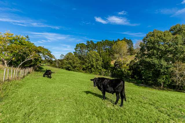 Screen Road Coatesville_3