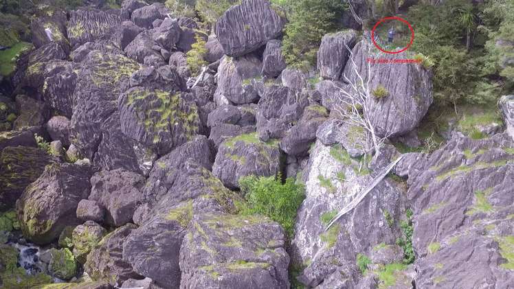 60 Mcdonnell Road Horeke_14