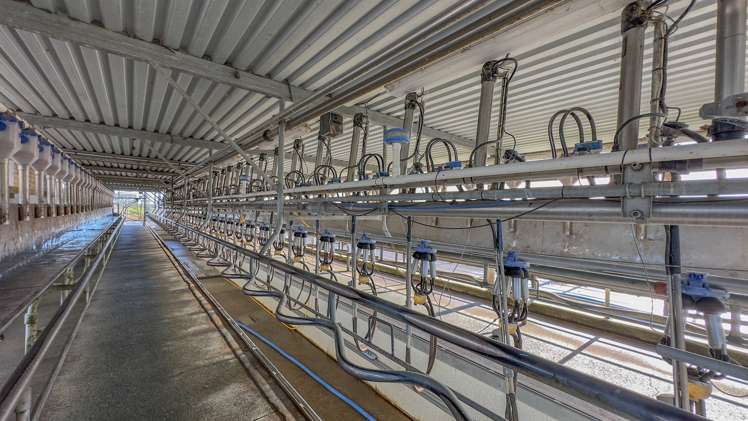 364 Piako Road Turua_8