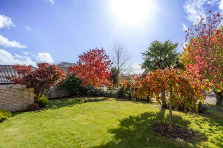 12 Elmwood Avenue Witherlea_23