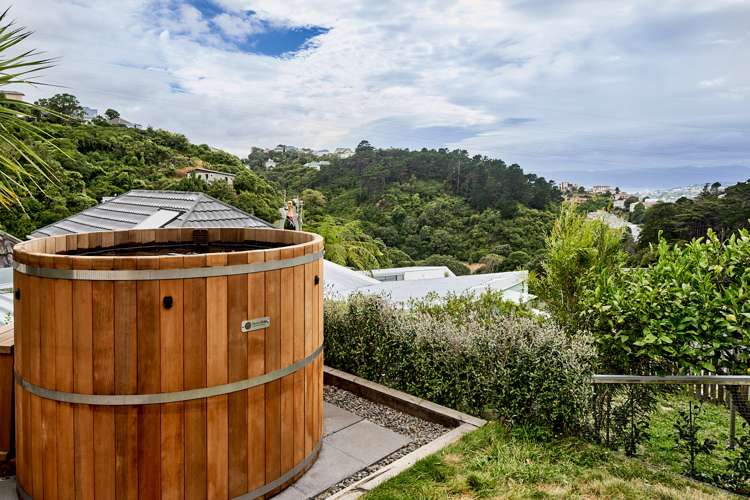 22 Mount Pleasant Road Aro Valley_13