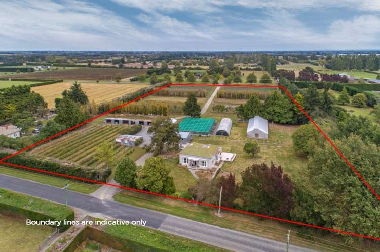 80 Carters Terrace_0