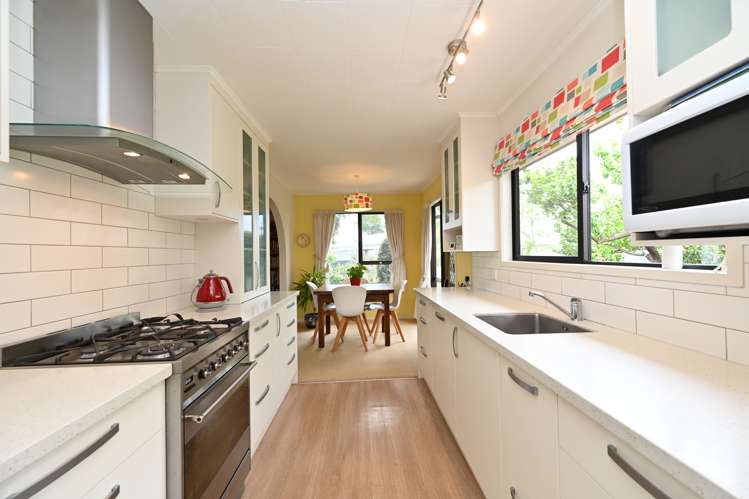 17 Sutherland Street Tamatea_9