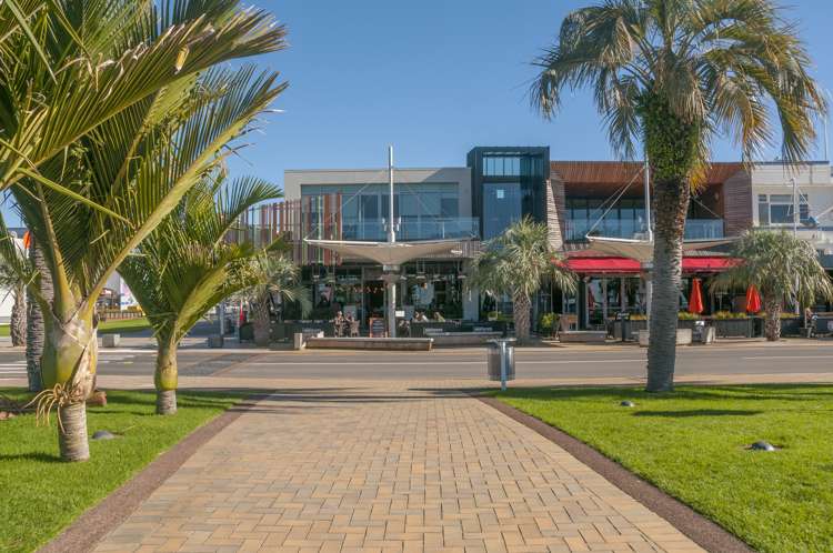 1/23 Arundel Street Tauranga Central_15