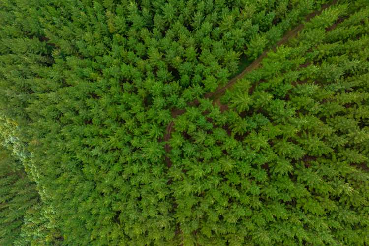 State Highway 63 Renwick_1