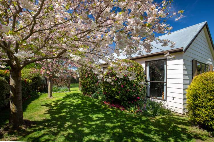 6 Kowhai Drive Wanaka_5