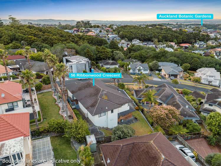 56 Ribbonwood Crescent Goodwood Heights_29