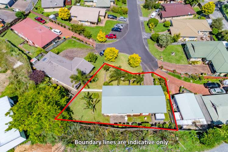 11 Evergreen Rise New Lynn_17