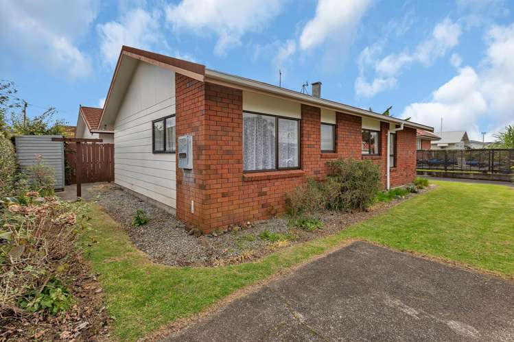 5 Mains Avenue Kensington_15