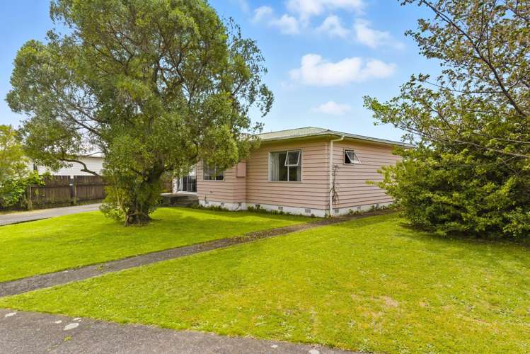 15 Ross Street Levin_14