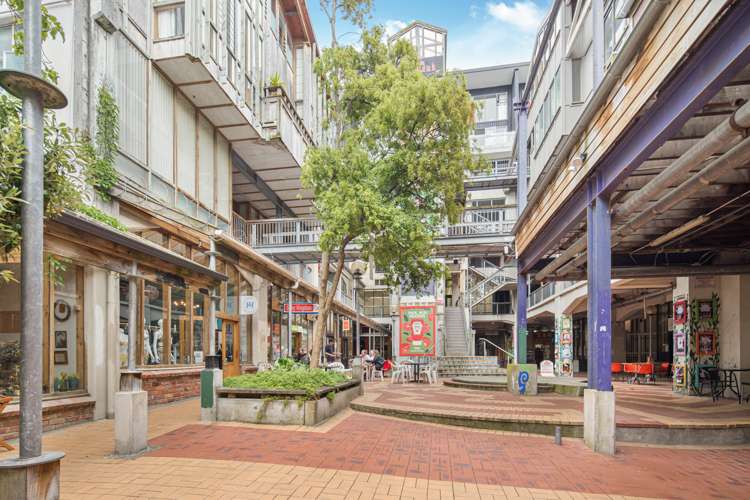 254/21 Left Bank Te Aro_12