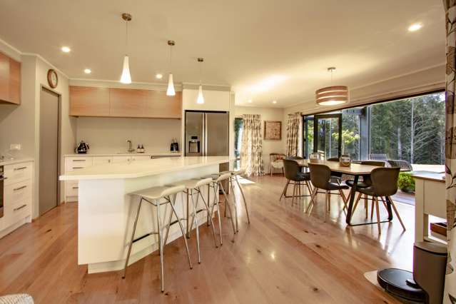 993 Whirinaki Valley Road Ngakuru_4