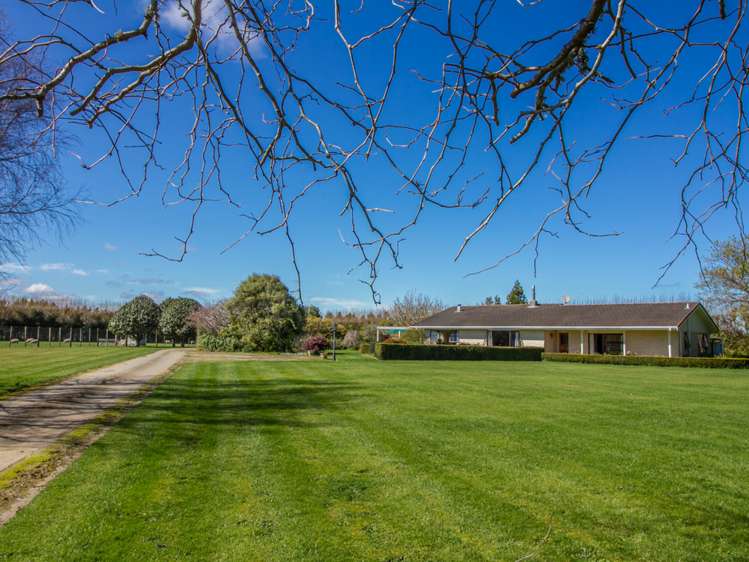 438 Omahina Road Waverley_23