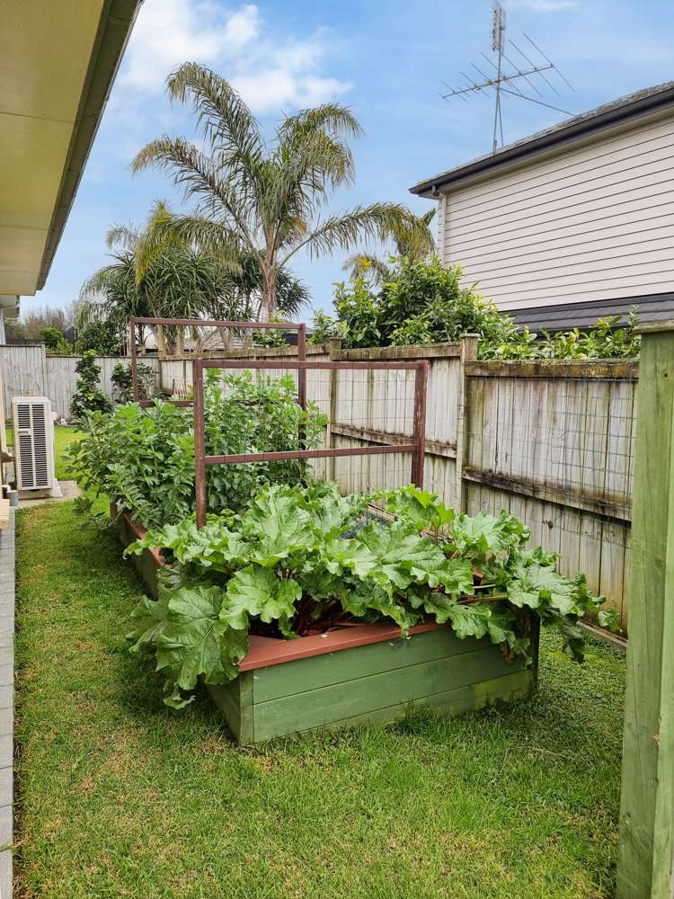 22 Pony Park Place Beachlands_23