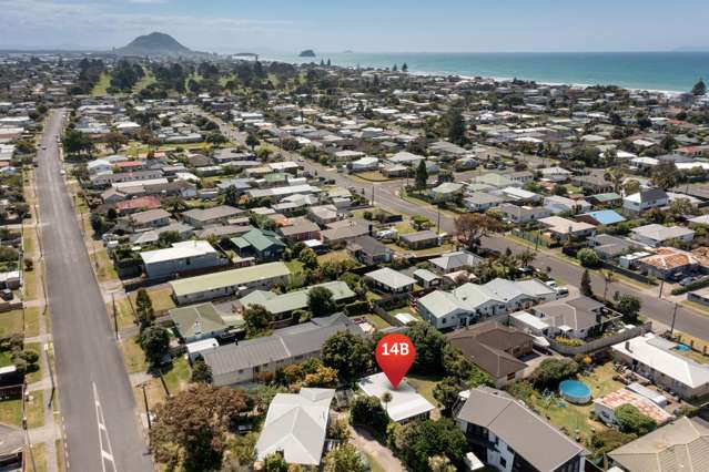 14B Taupo Avenue Mt Maunganui_3