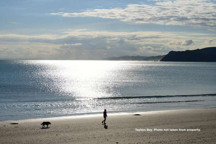 113-115 Fortescue Street Māhia_6