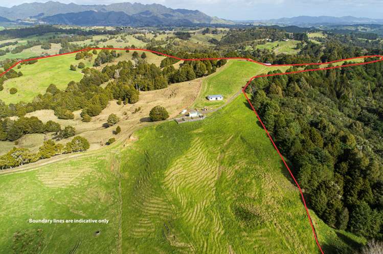 203 Otuhi Road Mangapai and Surrounds_5