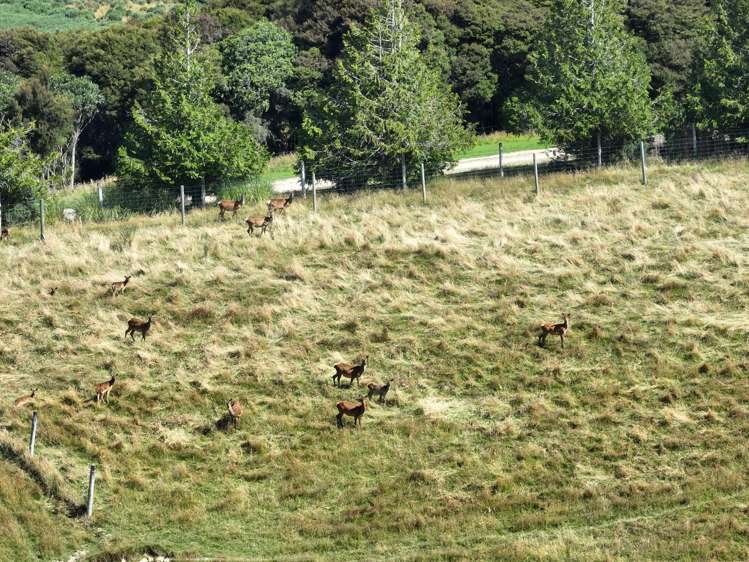 125 Sawmill Road Taieri Beach_27