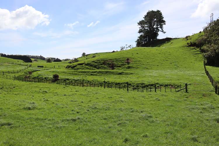 Lt2/310 Henwood Road Bell Block_8