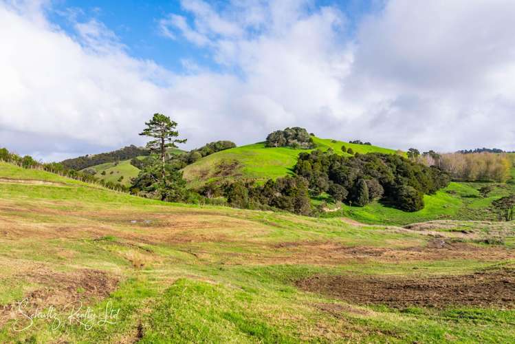 194 Heatley Road Maungaturoto_52