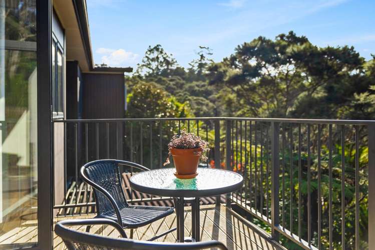 126 Foley Quarry Road Dairy Flat_11