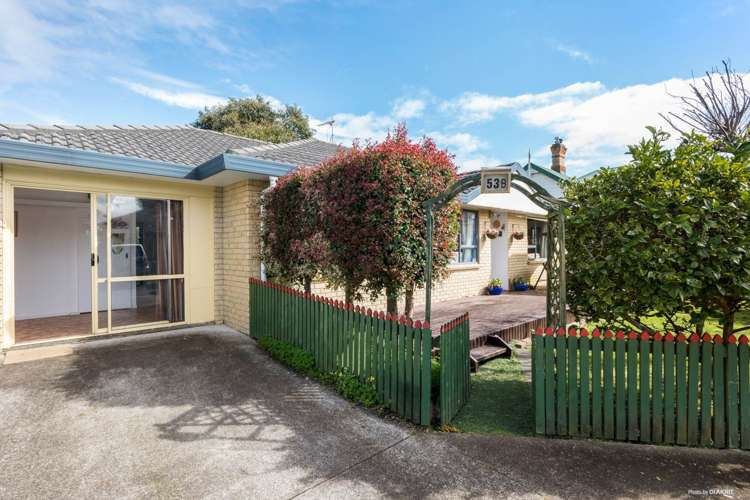 53b Grotto Street Onehunga_0