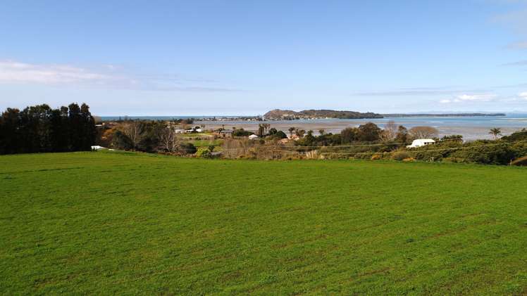 134a Athenree Road Athenree_6