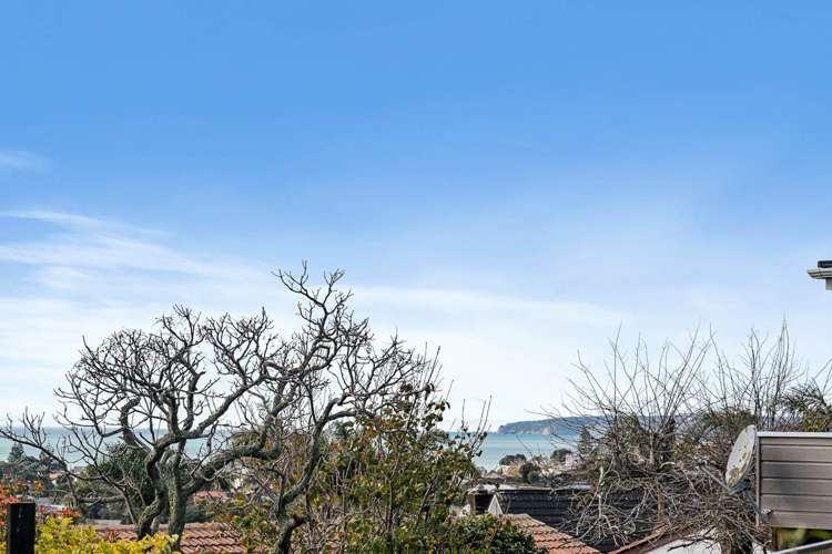 52a Albatross Road Red Beach_8