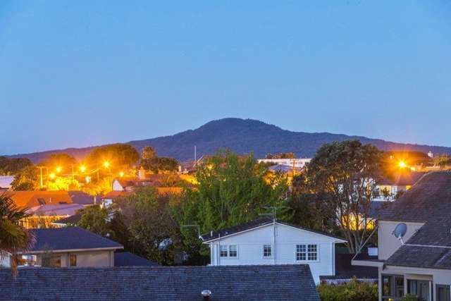 17b Towai Street Saint Heliers_1