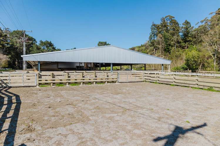 514 Totara Road Kumeroa_23