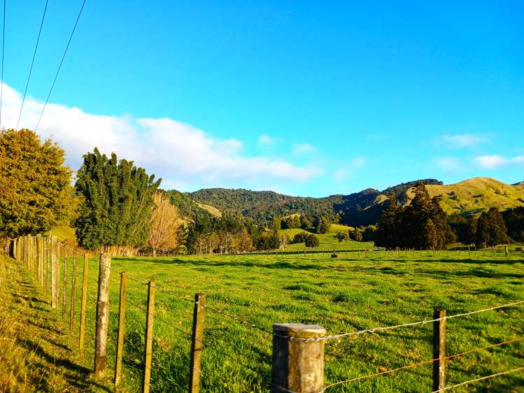 92 Takahue Saddle Road Takahue_43