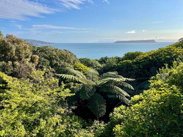 114 Motuhara Road Plimmerton_2